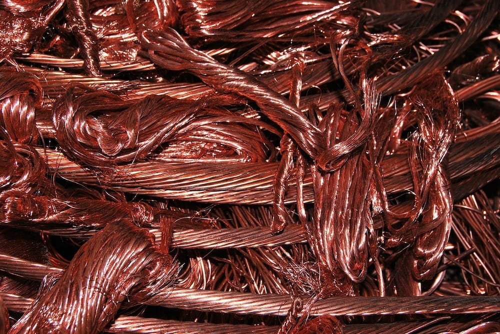 can ants cross copper