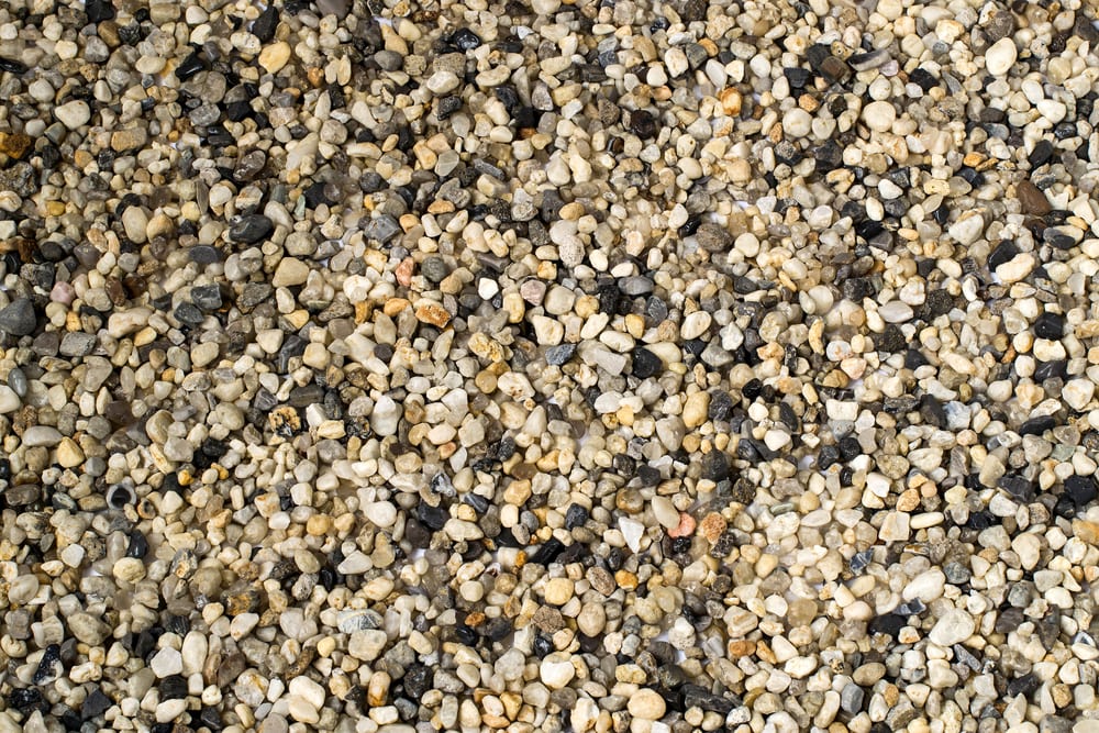 pea shingle cats