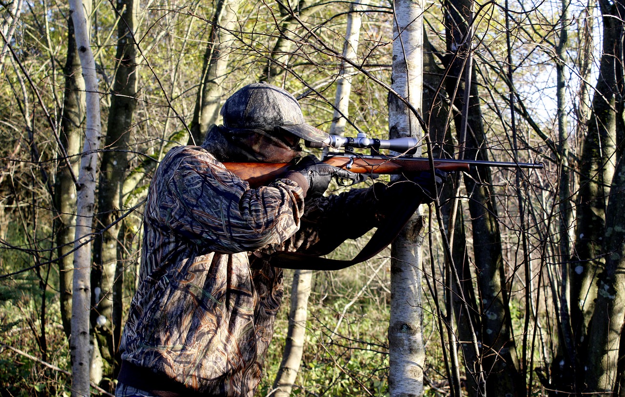 Can You Shoot Squirrels in the UK