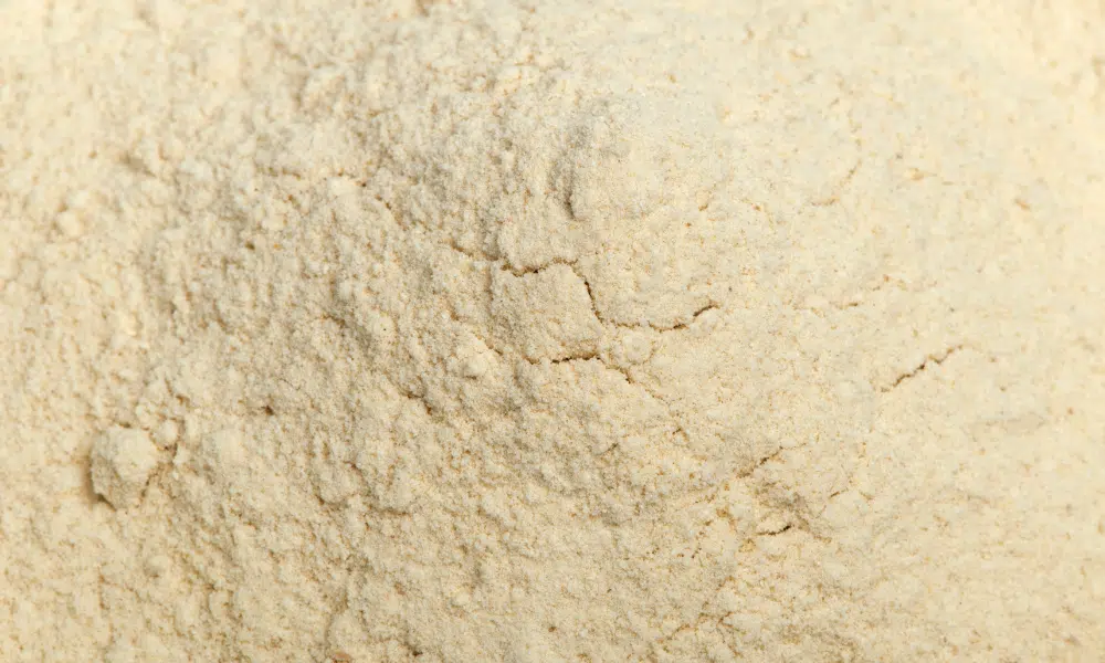 Does Garlic Powder Repel Cats