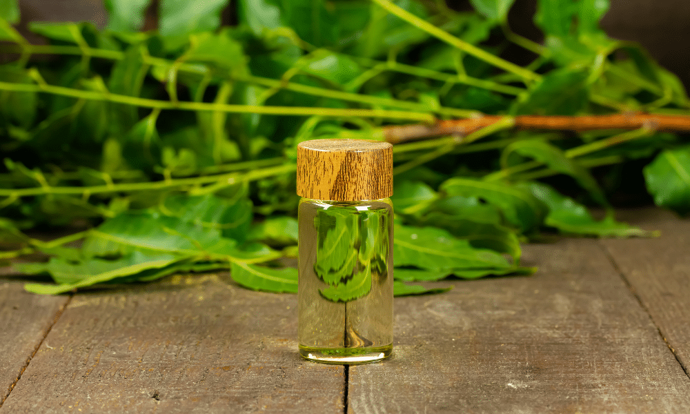 Does Neem Oil Repel Squirrels