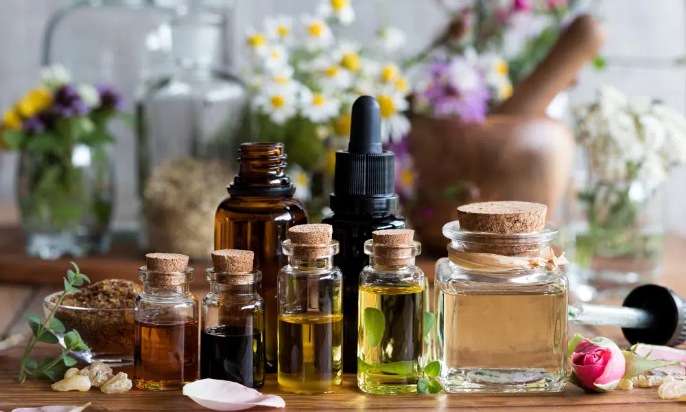 What Essential Oils Deter Cats 5 Options Pests Banned