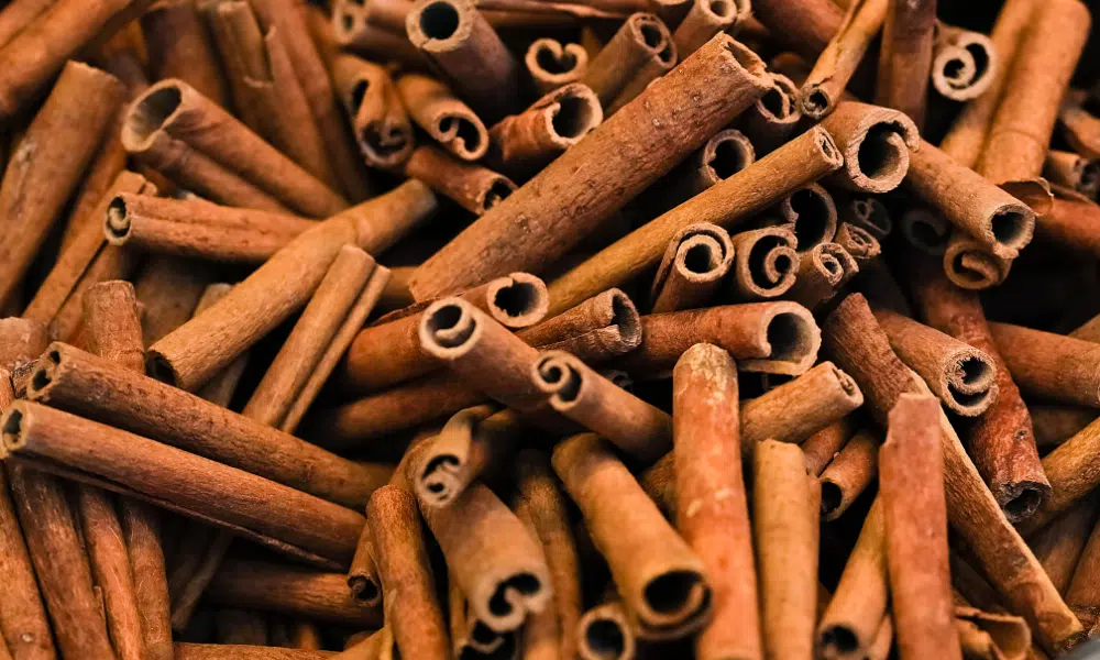 Does Cinnamon Deter Cats